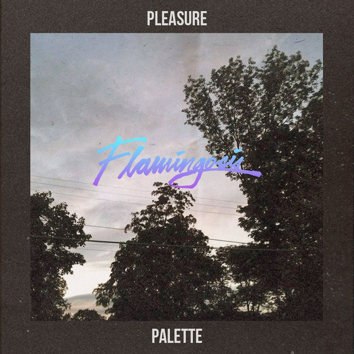 Flamingosis – Pleasure Palette