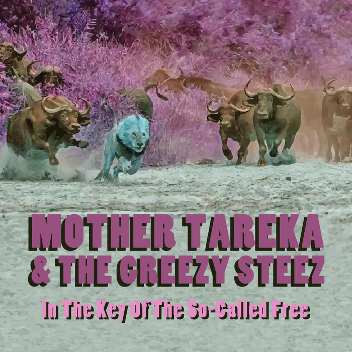 Mother Tareka – In The Key Of The So-Called Free