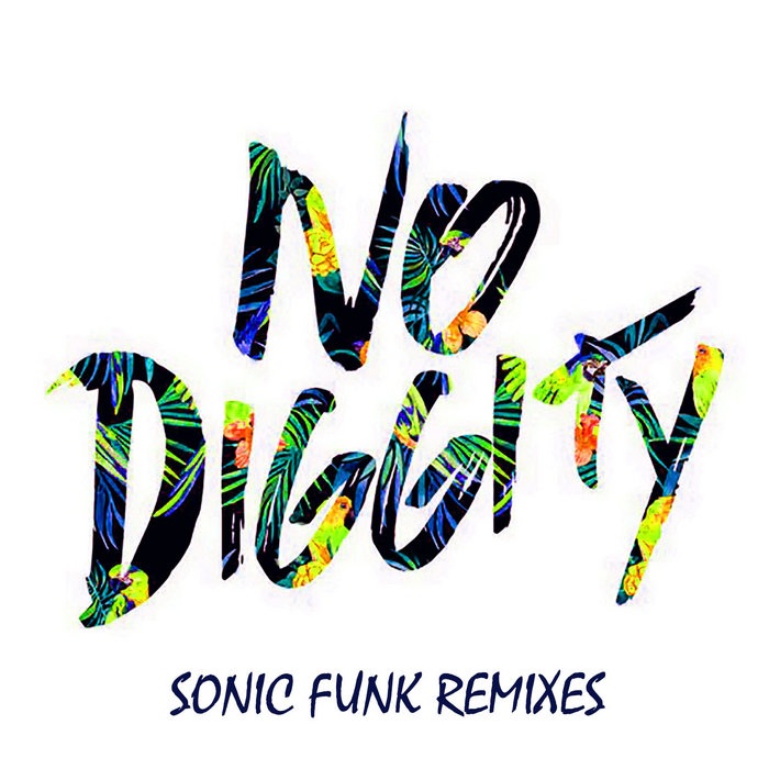 Sonic Funk Foundry – Blackstreet – No Diggity (Bossa Remix)