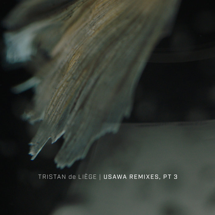 Tristan de Liège – Sabor (feat. Fabiano do Nascimento) (Kennebec Remix)