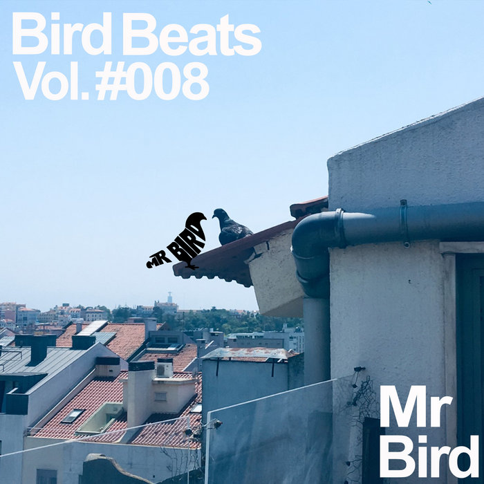 Mr Bird – In the dark
