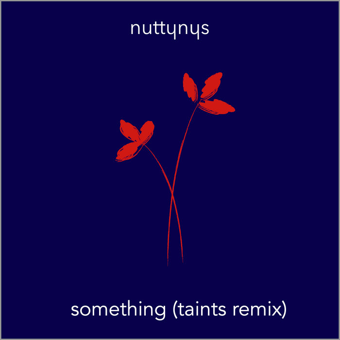 Nutty Nys – Something (Taints Remix)