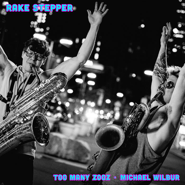 Too Many Zooz + Michael Wilbur – Rake Stepper