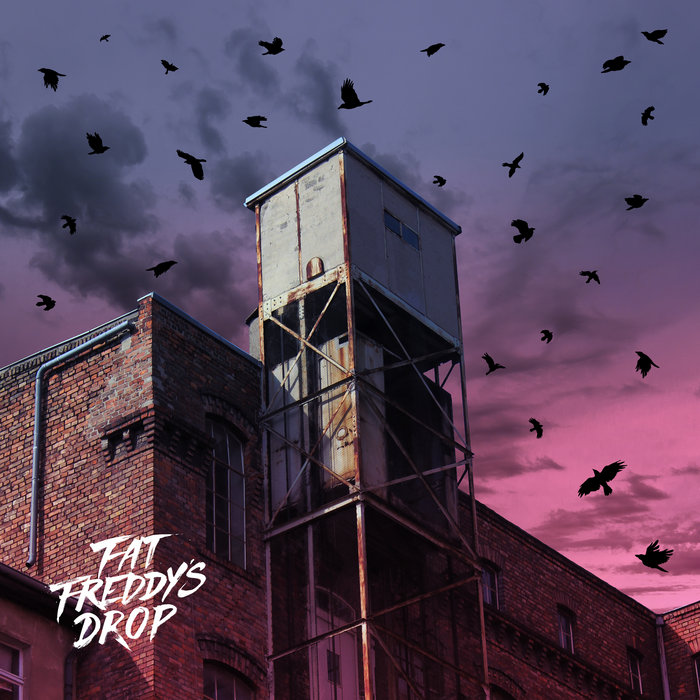 Fat Freddy's Drop – Blackbird Remix Feat. Kings