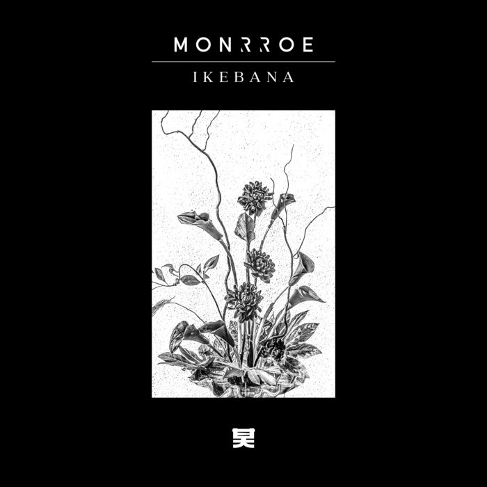 Monrroe – Tsubaki
