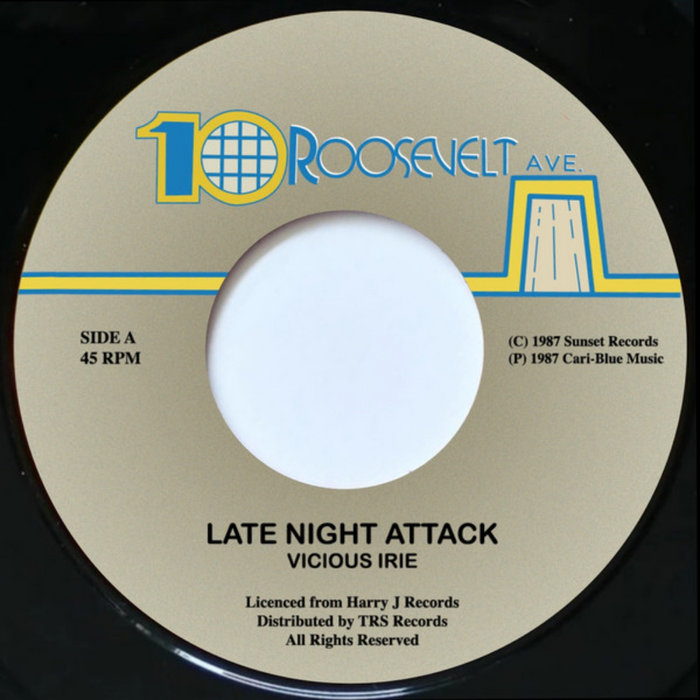 TRS Records – VICIOUS IRIE – Late Night Attack