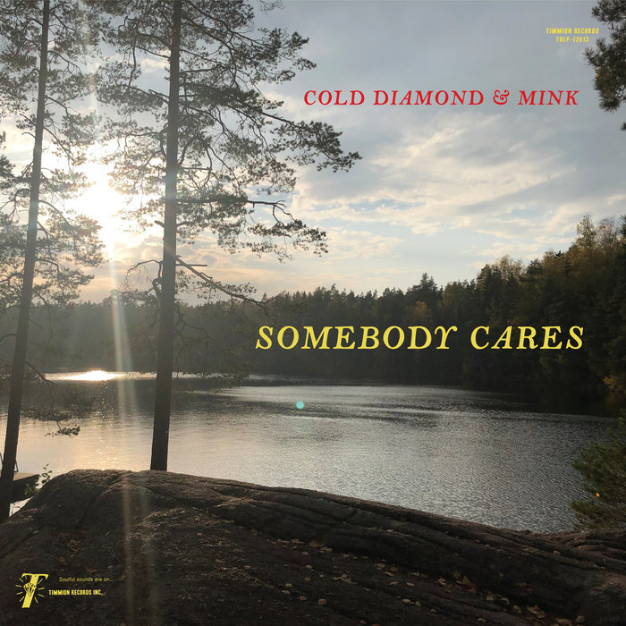 Cold Diamond & Mink – Somebody Cares (Instrumental)