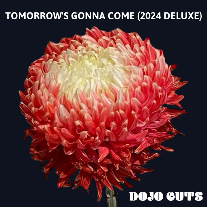 Dojo Cuts – Take What's Mine (2024 Deluxe LP)