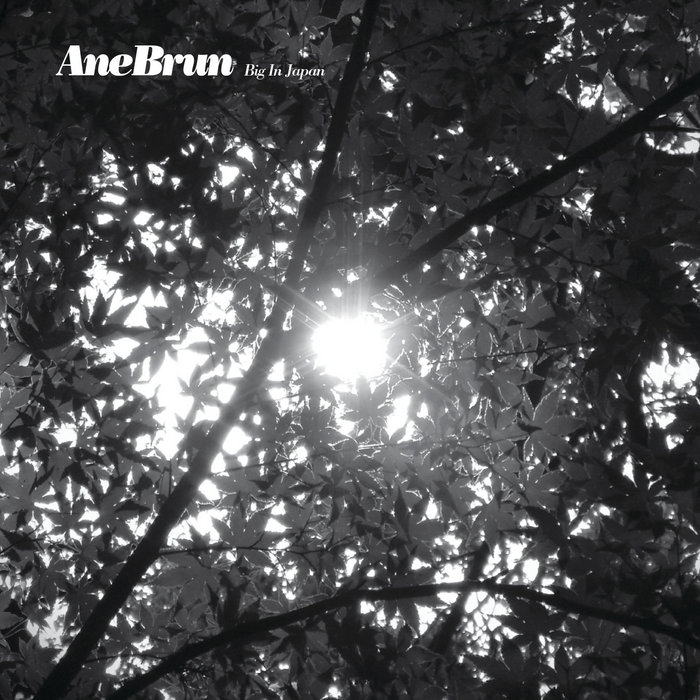 Ane Brun – Big in Japan