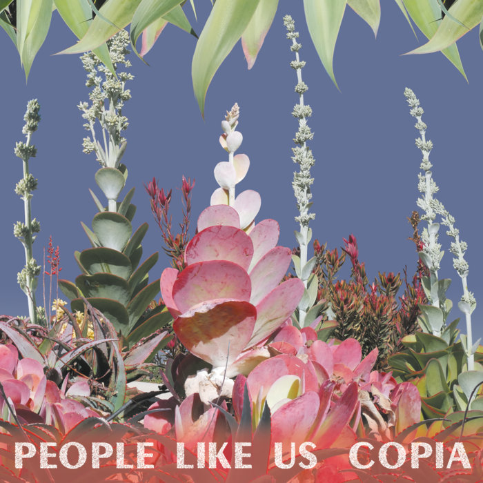 People Like Us, Ergo Phizmiz, Matmos, Lottie Bowater, Hearty White, Matt Warwick, WFMU – Camera Obscura