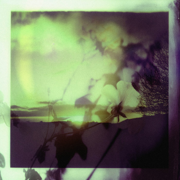 Tim Reaper, Mantra & Decibella – Charades