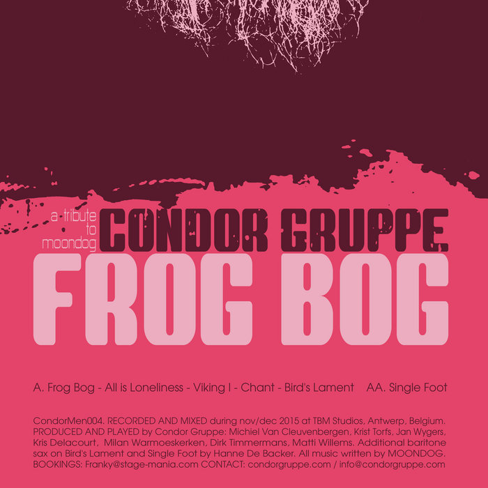 Condor Gruppe – Bird's Lament