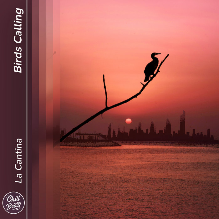 La Cantina – Birds Calling (single)