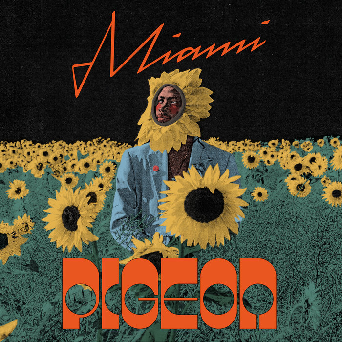 Pigeon – Miami