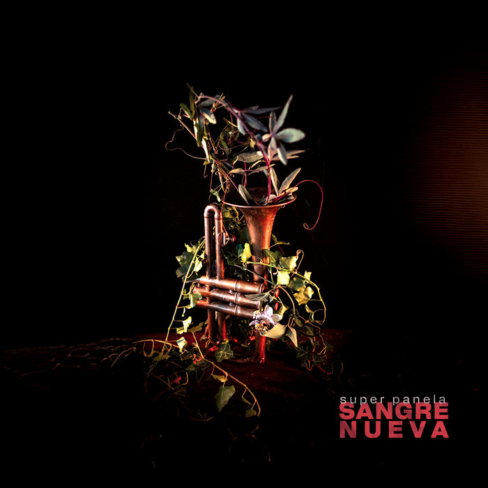 Super Panela – Despierta