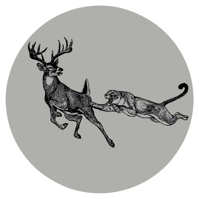 MADE TO DANCE – MTD SERIES #03 – Bad Bad Puma