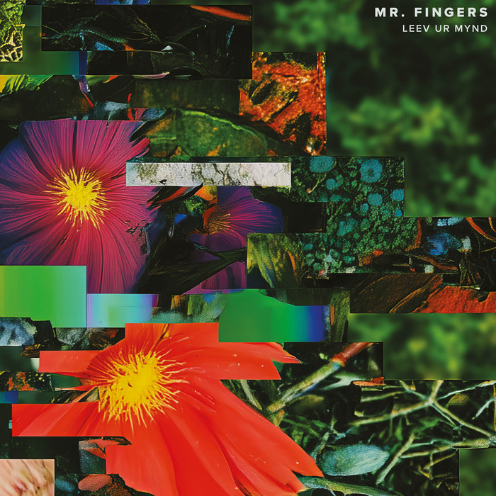 Mr Fingers – When You Need Me ft. Brianna