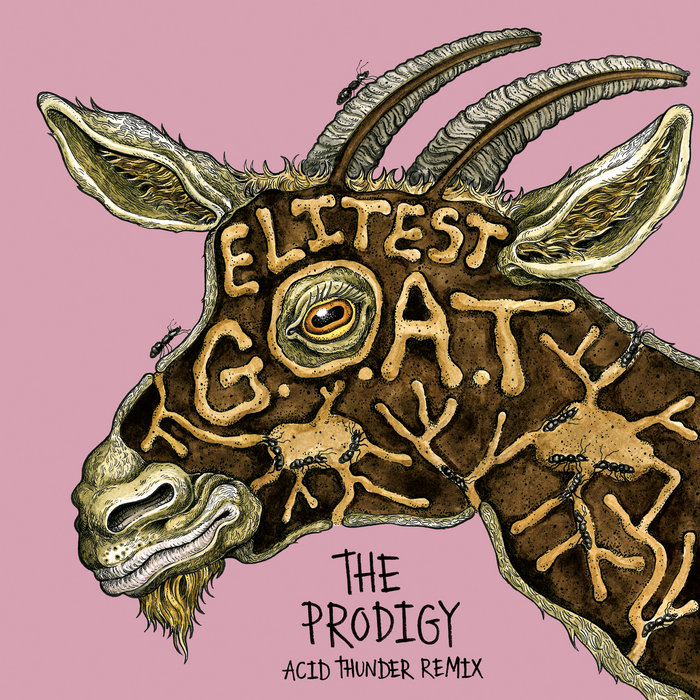 Sleaford Mods & The Prodigy feat. Aldous Harding – Elitest G.O.A.T. (The Prodigy Acid Thunder Mix)