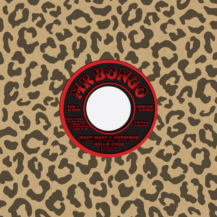 Hollie Cook Ft. Horseman – Night Night (Dub)