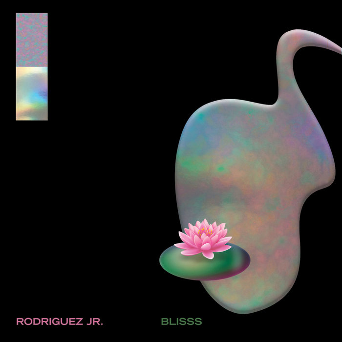 Rodriguez Jr. – Polaroïd