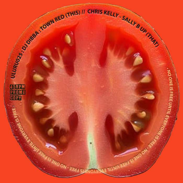Chris Kelly, Dj Dibba – Chris Kelly – Sally B Up