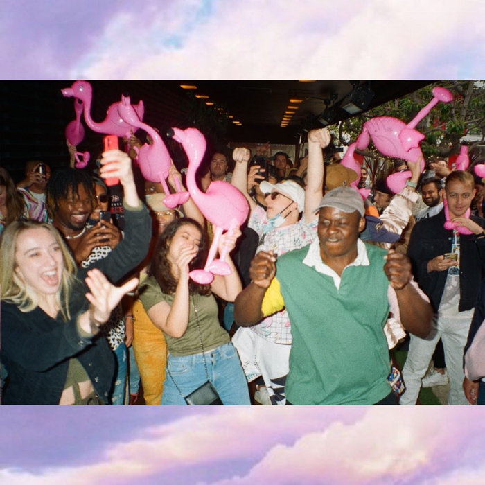 Flamingosis – Daydreaming at Trader Joe's