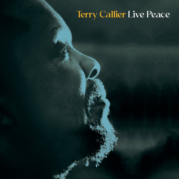 Terry Callier – What Colour Is Love (Live)